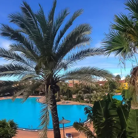 公寓 B-rent Tamarindo Amazing Sea View