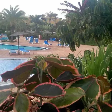 B-rent Tamarindo Amazing Sea View Corralejo